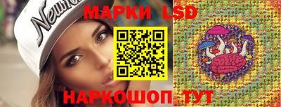 spice Краснодар