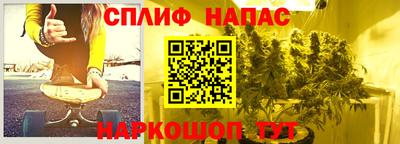 сатива Краснознаменск
