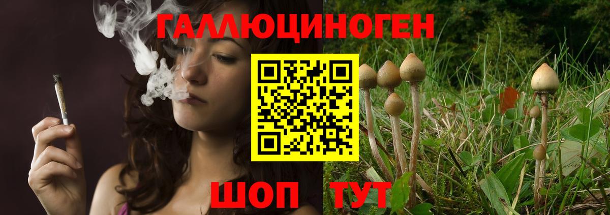 Псилоцибиновые грибы мицелий  Псилоцибиновые грибы MAGIC MUSHROOMS  Балтийск  Вход с VPN 